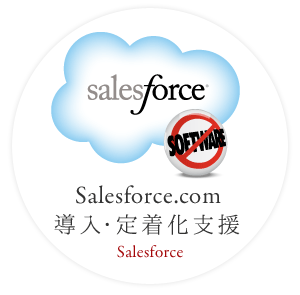 Salesforce.com導入・定着化支援